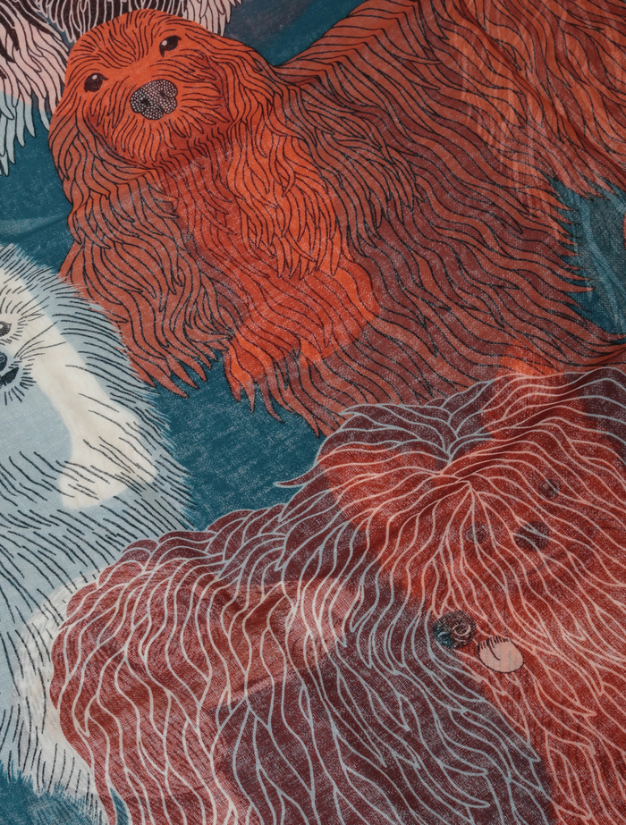 【INOUI EDITIONS/イヌイエディション】ストール/TOUTOU 詳細画像 ブルー 4