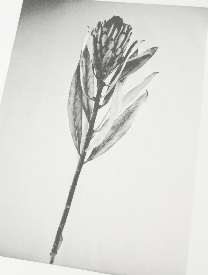 フォトプリントドルマンスリーブロングT-シャツ 詳細画像 ホワイト&times;ブラック 10