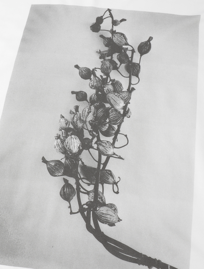 サイロコンパクトインレーフォトプリントワンピース 詳細画像 ホワイト 9