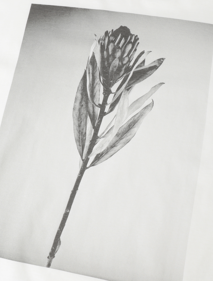 フォトプリントハーフスリーブT-シャツ 詳細画像 ホワイト 9