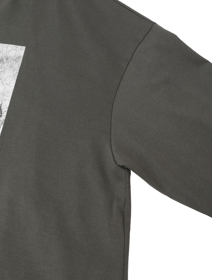 コットン天竺フォトプリントTシャツ 詳細画像 グレー 11